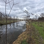 Nagyigmánd Zona agricola 1