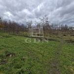 Nagyigmánd Zona agricola 3