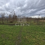 Nagyigmánd Zona agricola 4