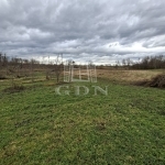 Nagyigmánd Zona agricola 5