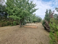 Csákvár 夏季别墅 10