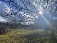 Sárszentmihály Telek 1