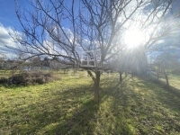 Sárszentmihály Telek 2