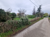 Székesfehérvár Telek 4