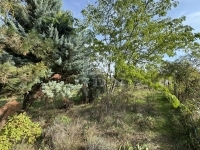 Pátka Családi ház 14