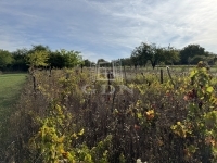 Pátka Családi ház 18