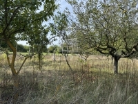 Pátka Családi ház 19