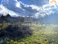 Sárszentmihály Telek 1