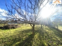 Sárszentmihály Telek 0