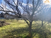 Sárszentmihály Telek 2