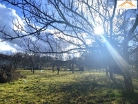 Sárszentmihály Telek - 13.000.000 Ft