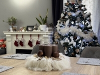 Polgárdi Családi ház 4