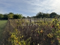 Pátka Családi ház 14