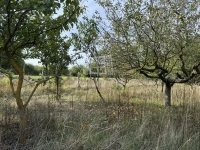 Pátka Családi ház 15