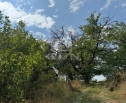 Lovasberény Tanya 3