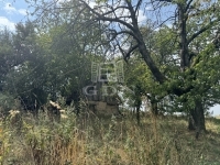 Lovasberény Tanya 2