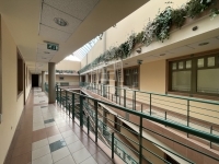 Székesfehérvár Lakás (téglaépítésű) 12