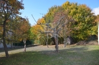 Szentendre 夏季别墅 4