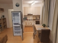 Budapest VII. kerület Flat (brick) 1