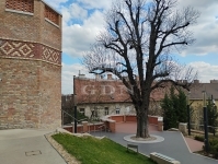 Budapest II. kerület Lakás (téglaépítésű) 22