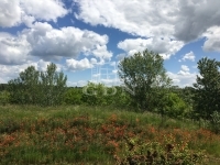 Budapest XVI. kerület Einfamilienhaus 13