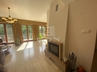 Budapest II. kerület 家庭别墅 4