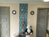 Tóalmás 夏季别墅 8