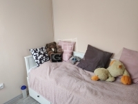 Tóalmás 夏季别墅 3