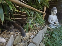 Gödöllő Lakás (téglaépítésű) 18