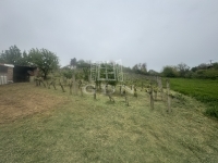 Mohács Családi ház 14