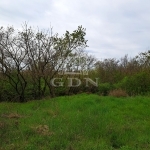 Balatonkenese Telek 6