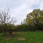 Balatonkenese Telek 7