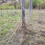 Balatonkenese Telek 11