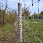 Balatonkenese Telek 1