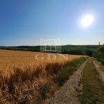 Balatonkenese Nyaraló 10