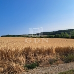 Balatonkenese Nyaraló 17