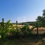 Balatonkenese Nyaraló 22