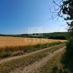 Balatonkenese Nyaraló 13