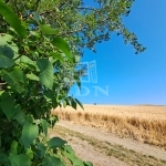 Balatonkenese Nyaraló 14