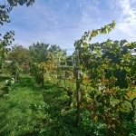 Balatonkenese Családi ház 9