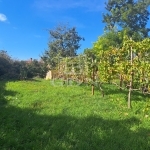 Balatonkenese Családi ház 10