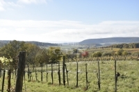 Óbudavár Családi ház 14