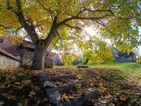 Pécsely Családi ház 15