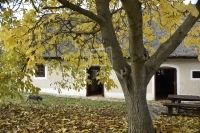 Pécsely Családi ház 1