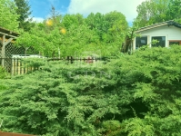 Veszprém Дом рядовой застройки 19