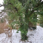 Csopak Családi ház 18