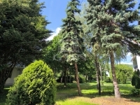 Balatonfüred Lakás (téglaépítésű) 13