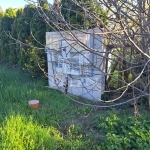 Balatonkenese Telek 7