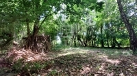 Balatonudvari Telek 0
