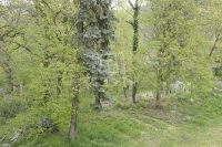 Budapest II. kerület Castel, conac
 16